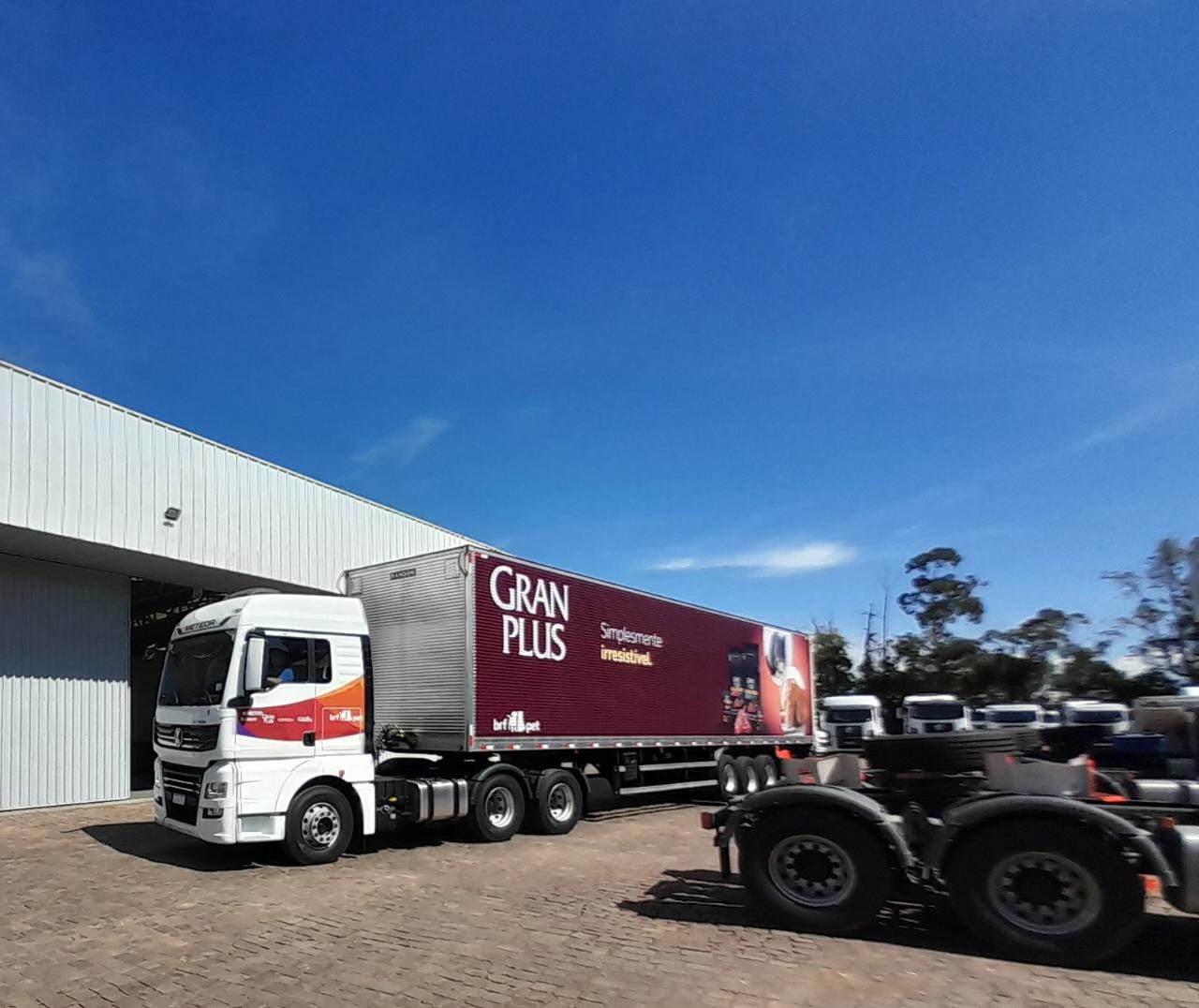 WhatsApp Image 2023-04-17 at 10.51.19 (2).jpeg